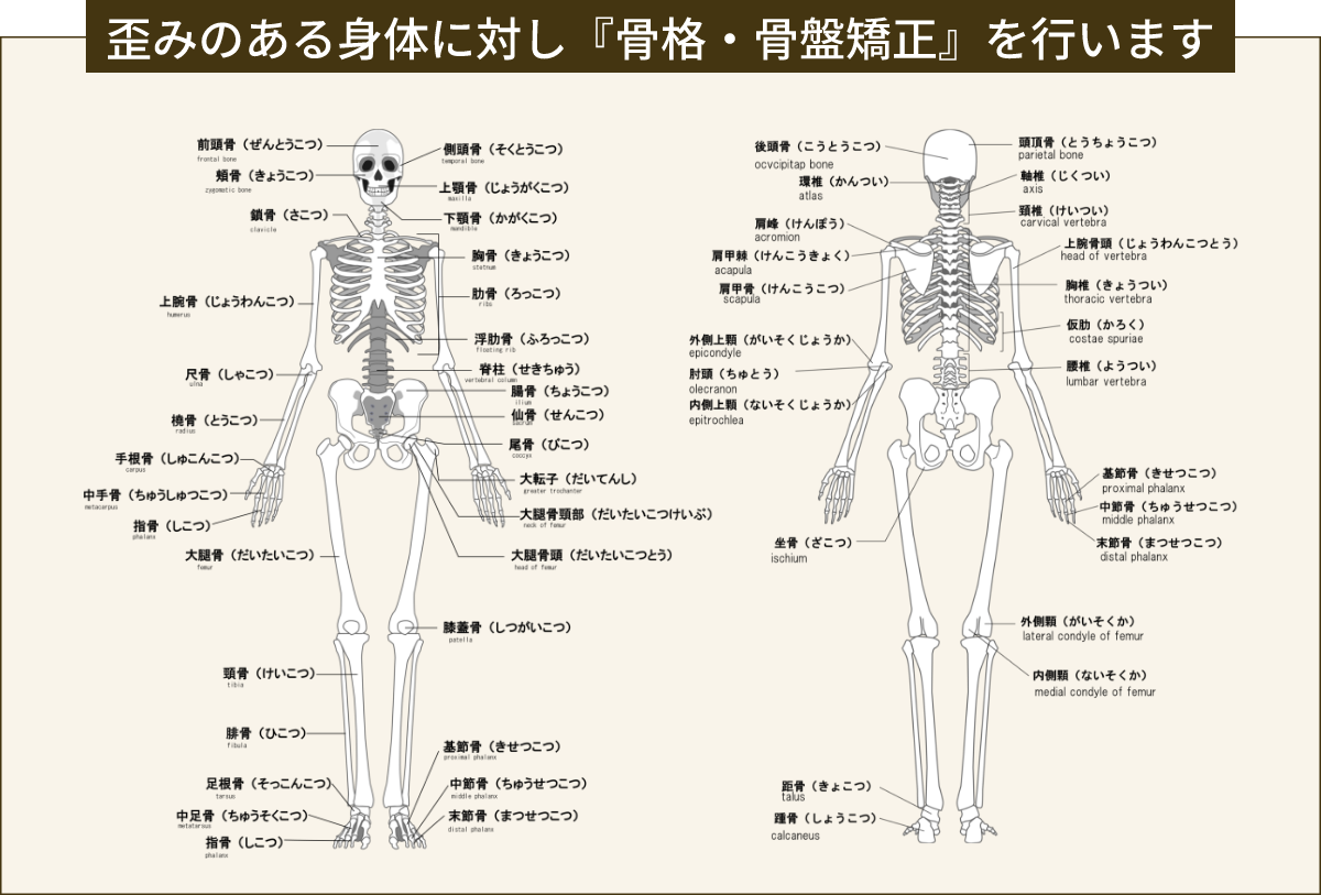 歪みのある身体に対し『骨格・骨盤矯正』を行います
